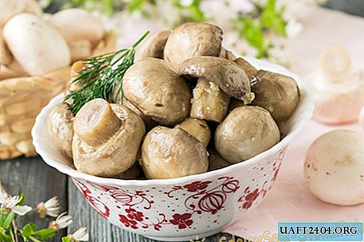 Quick pickled champignons in 1 day