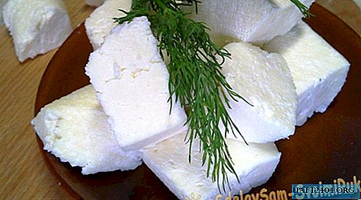 Homemade cheese in 10 minutes. Simple, tasty, inexpensive.