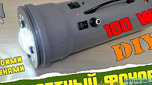 100 Watt do-it-yourself lamp