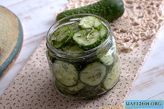 Supersnelle gezouten komkommers in een blik in 15 minuten