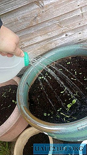 How to make a full-fledged garden watering can from a canister in 2 minutes