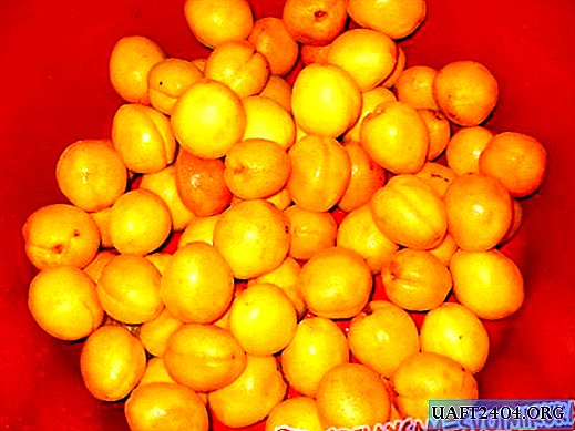 Apricot puree for children