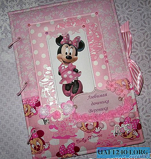 Album with a mouse Mini Mouse for a little girl