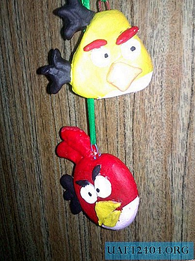 Pâte à Sel Angry Birds
