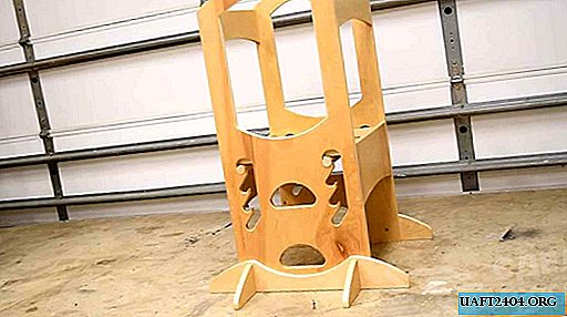 Adjustable safety chair for a small child