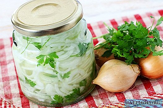 Fast pickled onion to barbecue