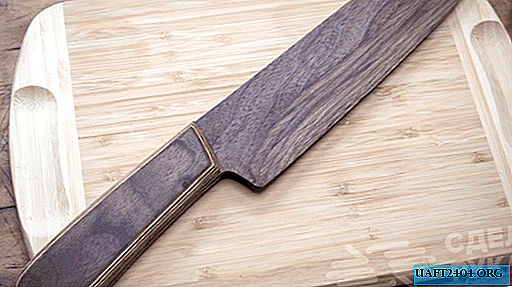 Couteau en bois de placage japonais