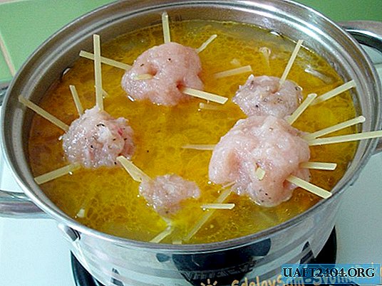 Baby octopus soup