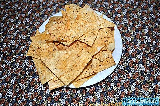 Chips de pita caseros