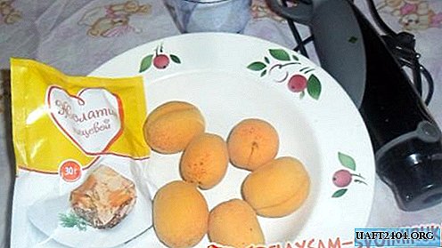 Bonbons maison à la gelée d'abricot