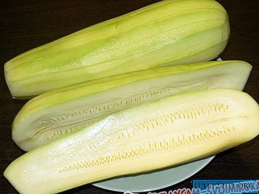 Fylld zucchini "För de som är på diet"