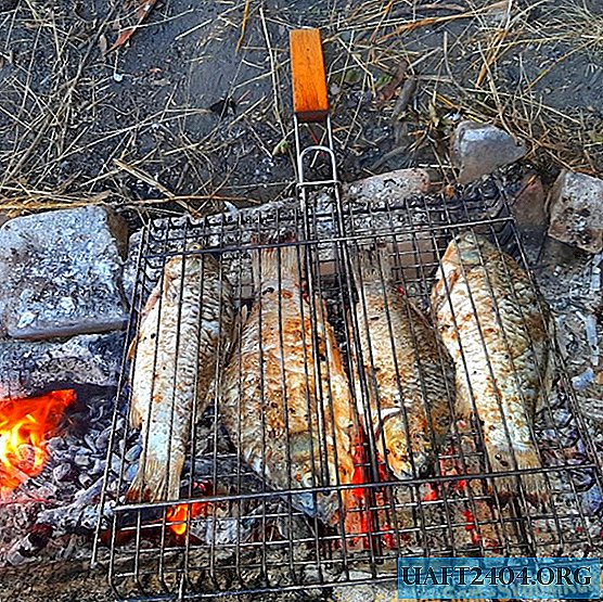 Kochen von Flussfischen auf dem Spiel - gebratener Karausche, der Finger leckt
