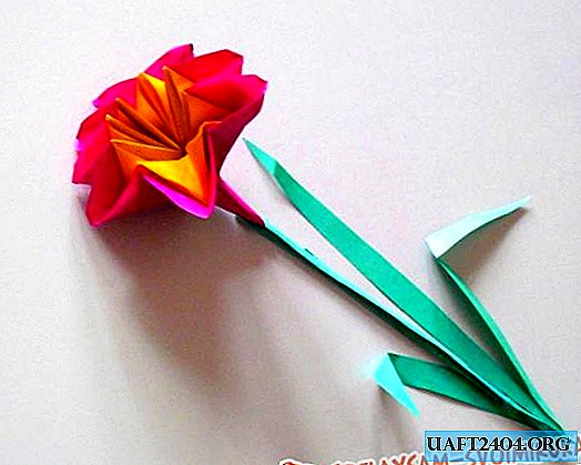 Carnation from colored paper