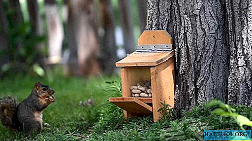 Idea for a summer house and private home: a squirrel feeder