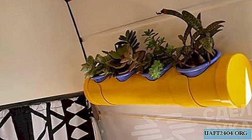 Idea for a home on wheels: a bright PVC pipe planter