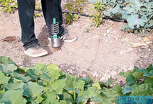 Realizarea unui mini burghiu electric de grădină cu propriile mâini
