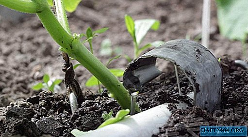 How to organize drip irrigation in the country with your own hands