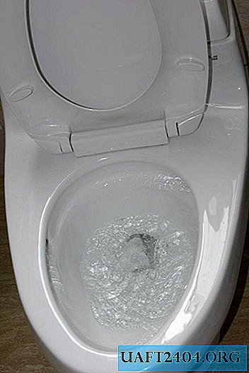 Hoe een verstopt toilet zonder plunjer schoon te maken