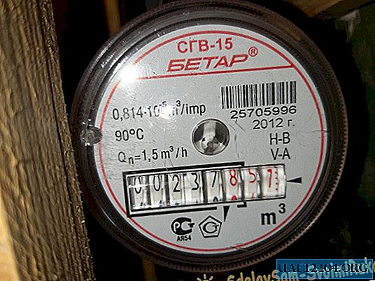 How to check the water meter yourself and why you need it