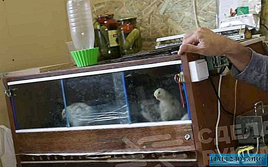 Kuidas kanadele teha ise-seda-broilerit