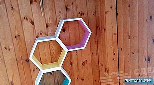 How to make wall shelves-honeycombs for home and garden