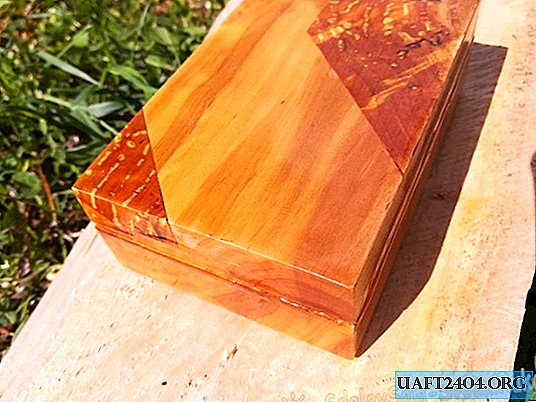How to make a simple and unusual box of alder and burl