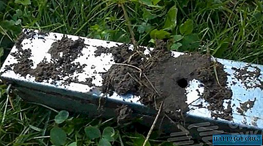How to make a simple trap for moles and rats