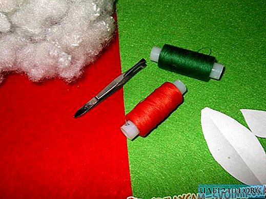 How to sew an apple from felt