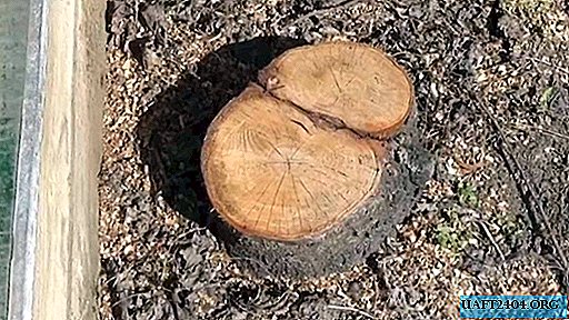 How to remove stump in the area without a shovel and scrap
