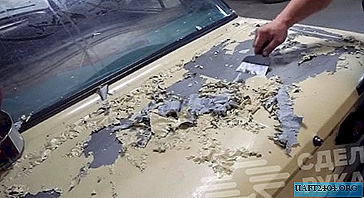 How to remove all paint with auto wash