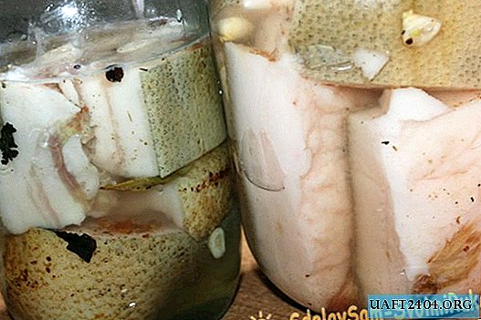 How to pickle lard in brine