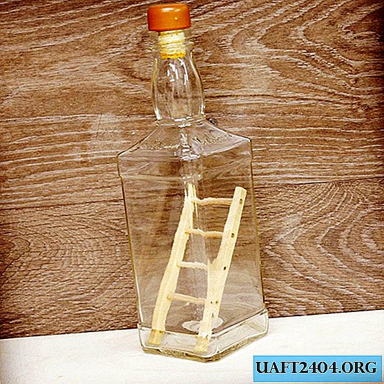 Wie man eine Leiter in eine Flasche steckt