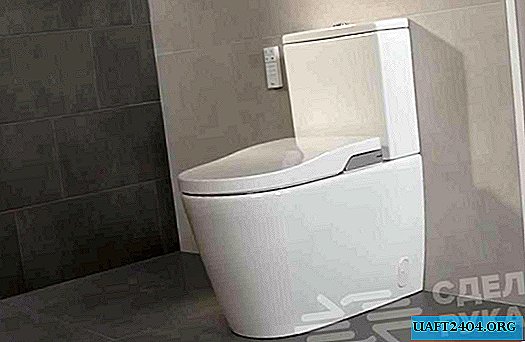 Which toilet to choose for home: rimless or rimless