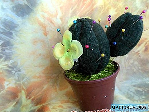 Cactus de espuma de poliestireno - Caja de agujas