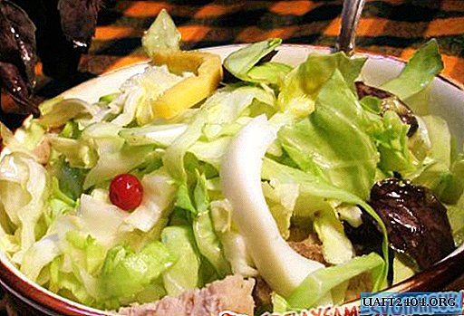Cabbage salad with lemon mustard dressing