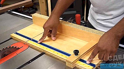 Carriage for cutting table with emphasis