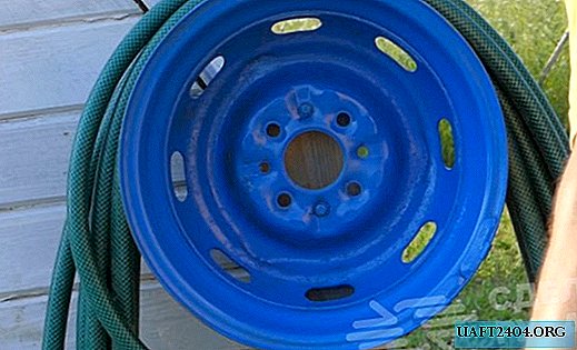 "Reel" from a car disk for storing a watering hose