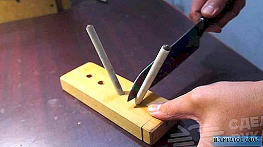 Ceramic knife sharpener from a diode column
