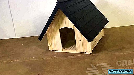 Cool dog booth made of wooden lining