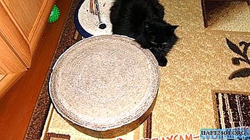 Scratching post for a pet