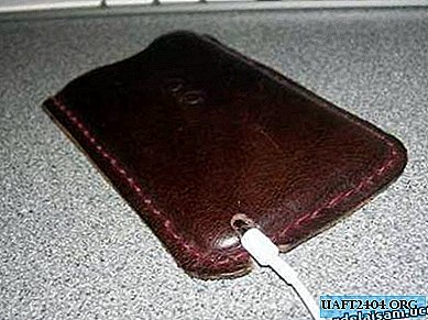 Leather case for player