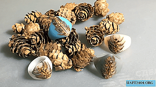Anéis bonitos feitos de cones e epóxi