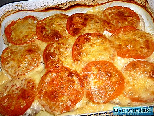 Filete de pollo con tomate y queso.