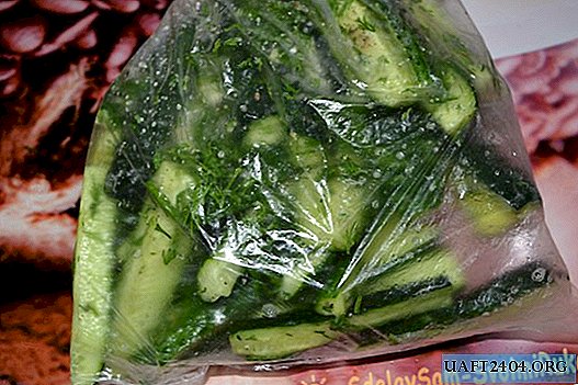 Salted cucumbers in a bag quickly and easily