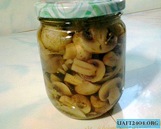 Pickled champignons til vinter og ferie