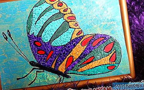 Majstorska klasa mozaika od ljuske jaja "Leptir"