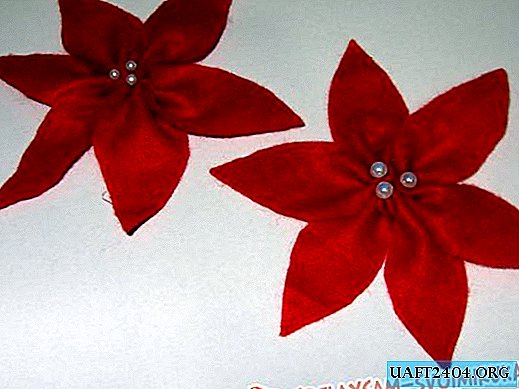 Workshop on creating a poinsettia flower