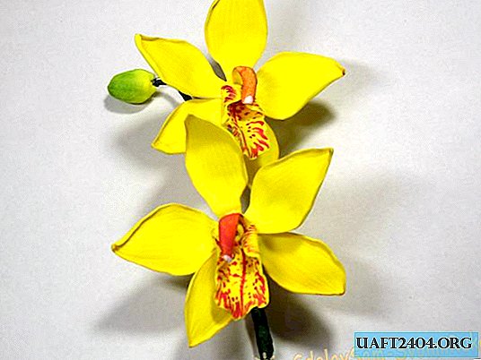 Galhos de orquídeas de oficina