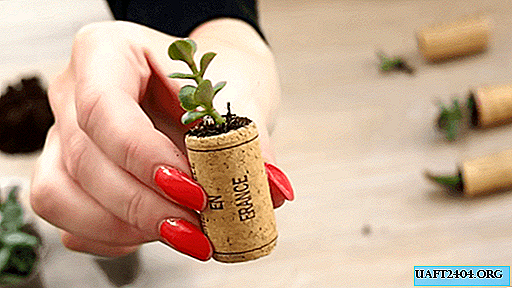 Mini pots for plants from wine corks