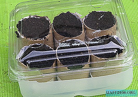 Mini greenhouse for seedlings
